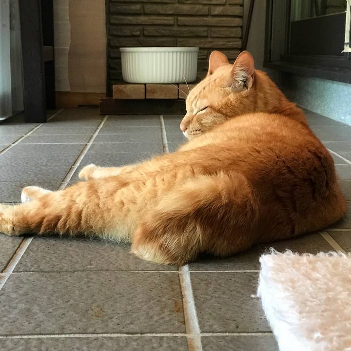 5def4f3f 64b4 487d ae36 2770379aae85