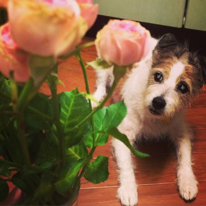 5def6b3c 1c65 4c46 9c92 8b21e92c99d6