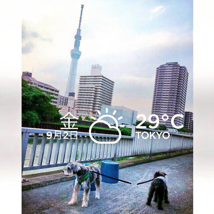 5defa5be f3c0 4b13 a2f1 9f058311c27b