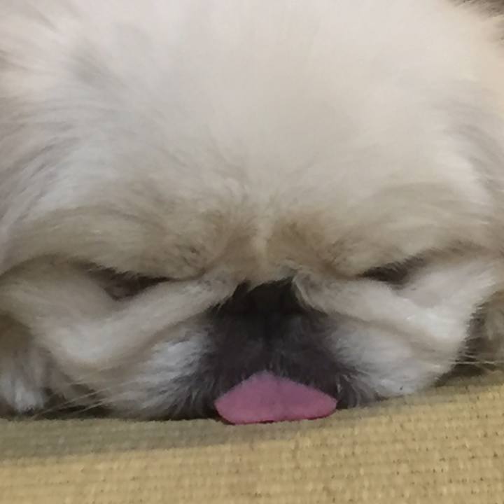 5df090f1 c098 4e27 9da2 4b77c0b13c88