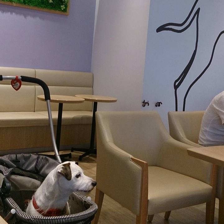 5df0e895 e308 4ea0 b18c 969b6fc4e22e