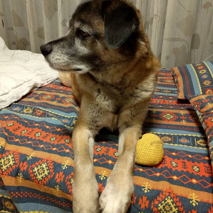 5df128fa 2505 4f3f 82a7 fa9ef37ddc7b