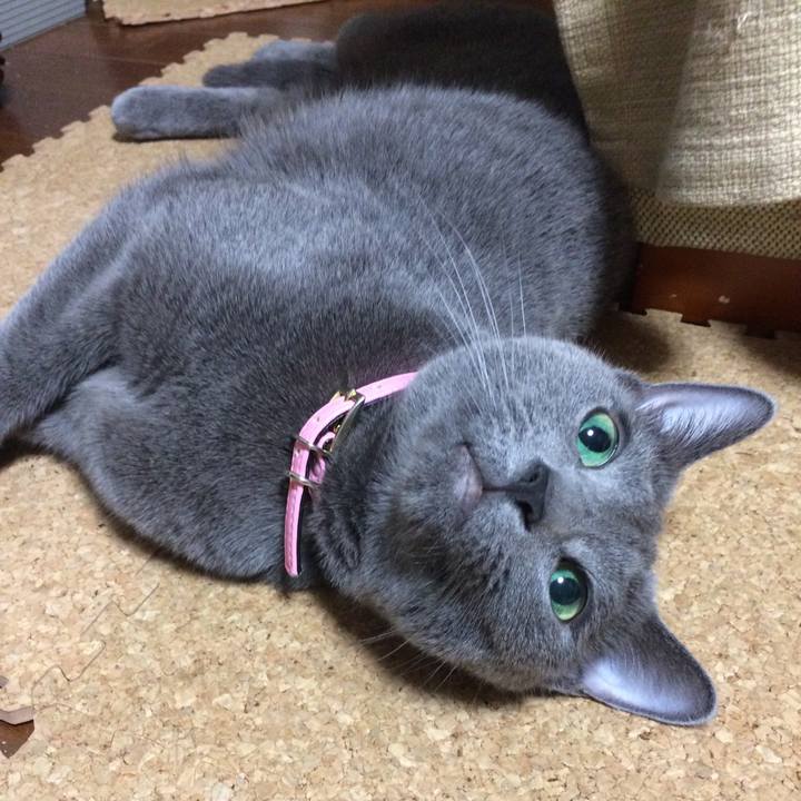 5df1aca2 6bee 47cc b093 0a1830c138bd