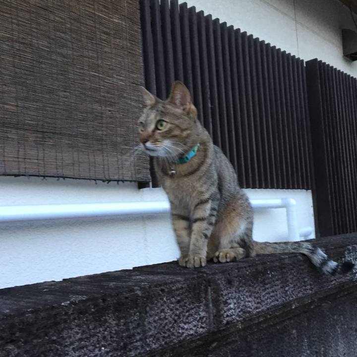 5df2874a dd20 470a 8451 1bc5d7bfd95f