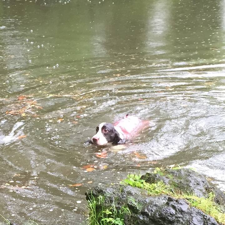 5df44f6a 2898 40bb 9fdc c4c32ac1c73f