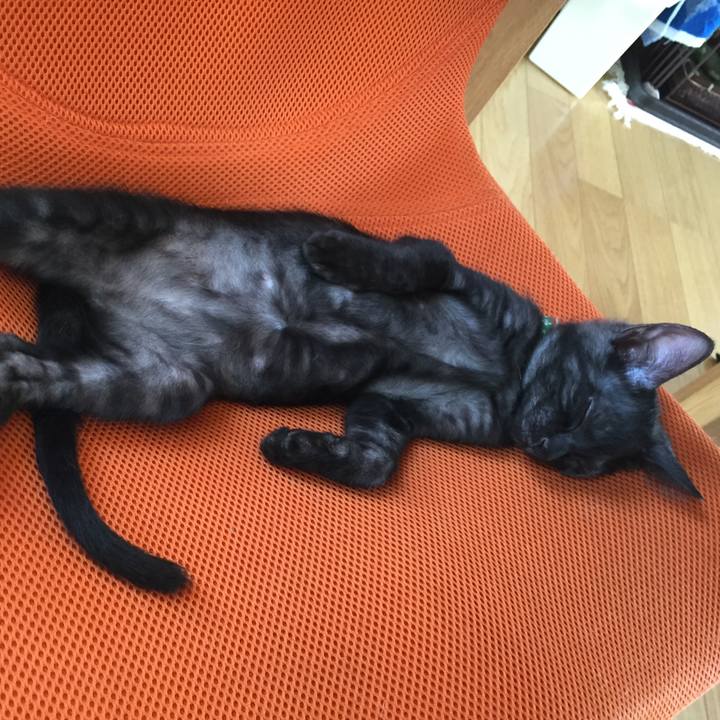 5df4547a 3210 4732 8a28 a03670011555