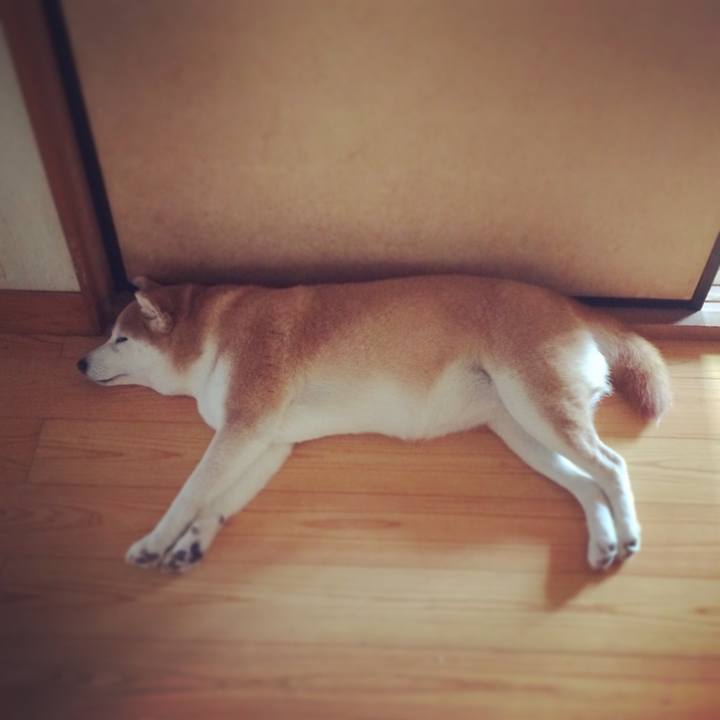 5df474d0 110b 4b6e bc26 1b85859727cc