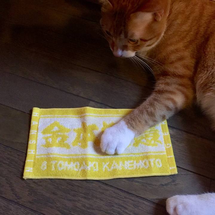 5df58462 c8c9 4263 9c1c ad9c5eccba5c