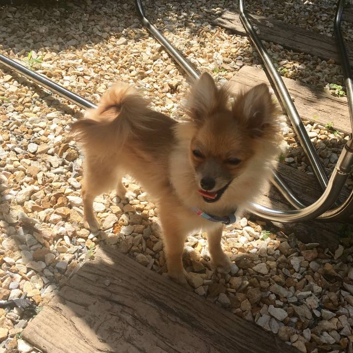 5df5d0be c036 459a bcfa 7815ac07e936