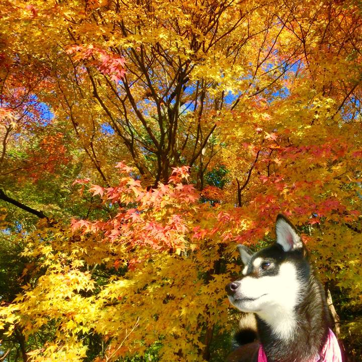 5df64e13 4e98 4de8 9806 bba4b20bb621