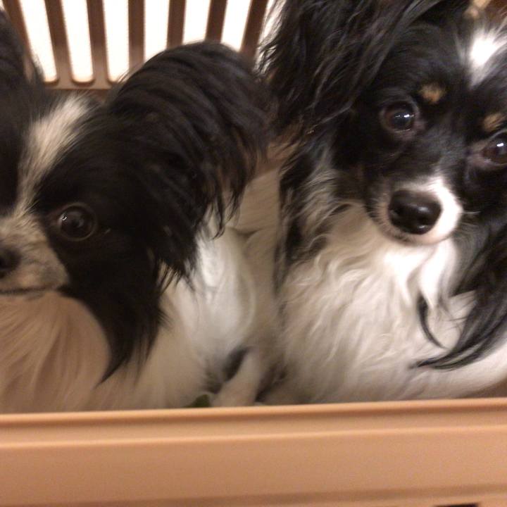 5df66920 00d2 4957 896d c5403763f92f