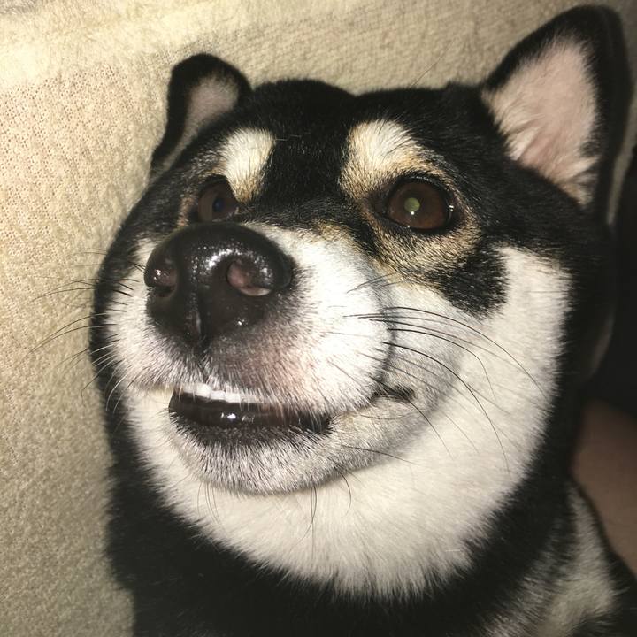 5df67a86 d772 4434 8946 03edbdbb3df0