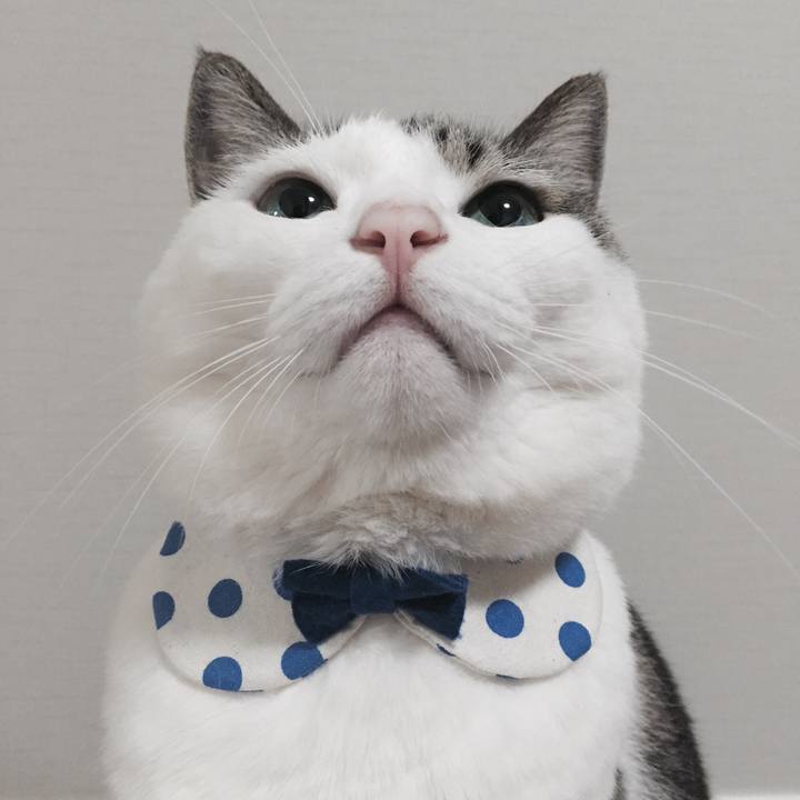 5df69d1c 45b8 443f a060 9a4677e1c84b