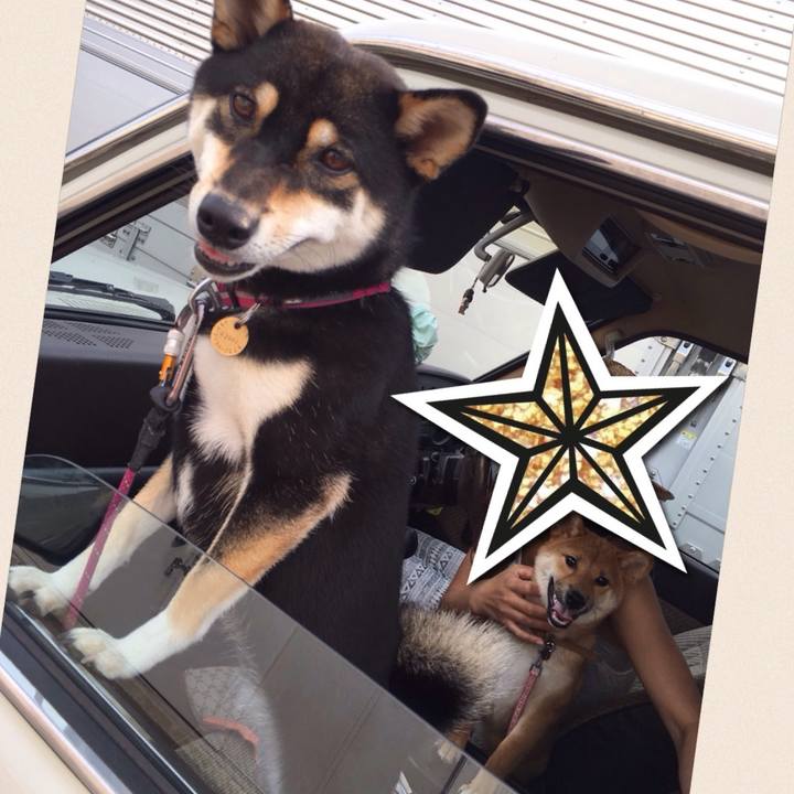 5df6ea07 e54b 4e64 a4c6 e1355d0c999d