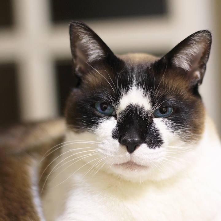 5df78faf 981c 4ab4 b057 580f5f24a8ea