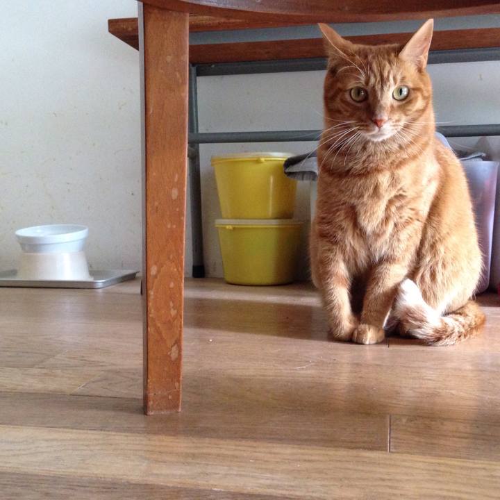 5df7e129 5257 4c11 a66b 0edcaa1e7c84