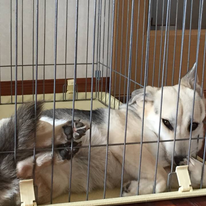 5df82662 5b87 4dff 9f08 6cd7d2ebc0e1