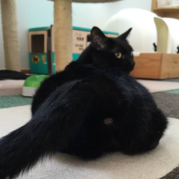 5df87c48 bca5 4db7 89d8 4af629d94976