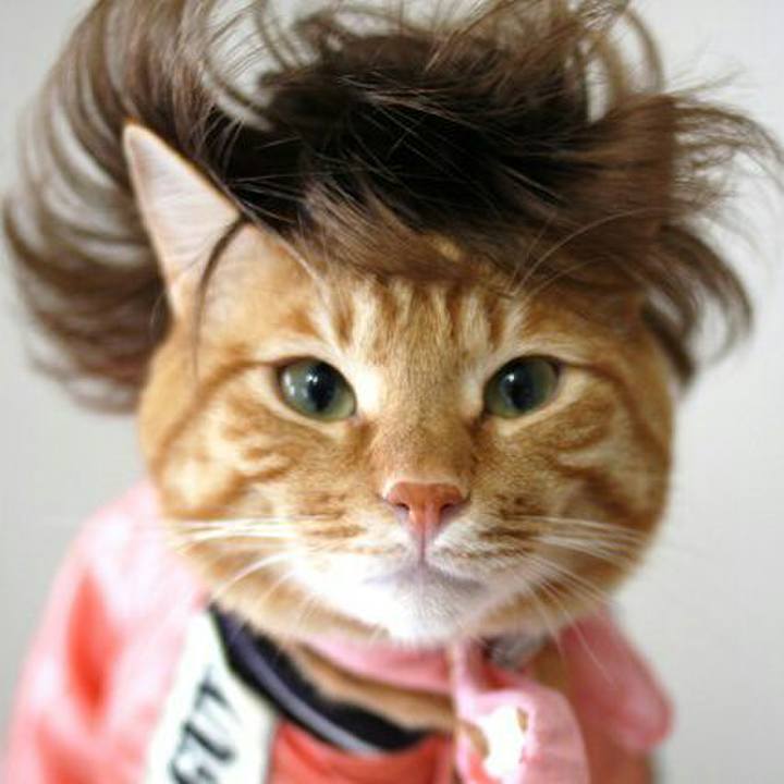 5df8ae90 41a8 4a2f 83e3 b9c055232c4a