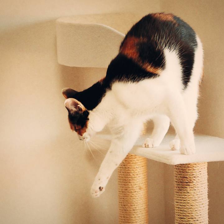 5df912d9 0ab0 4c53 8b95 f89285b7381b