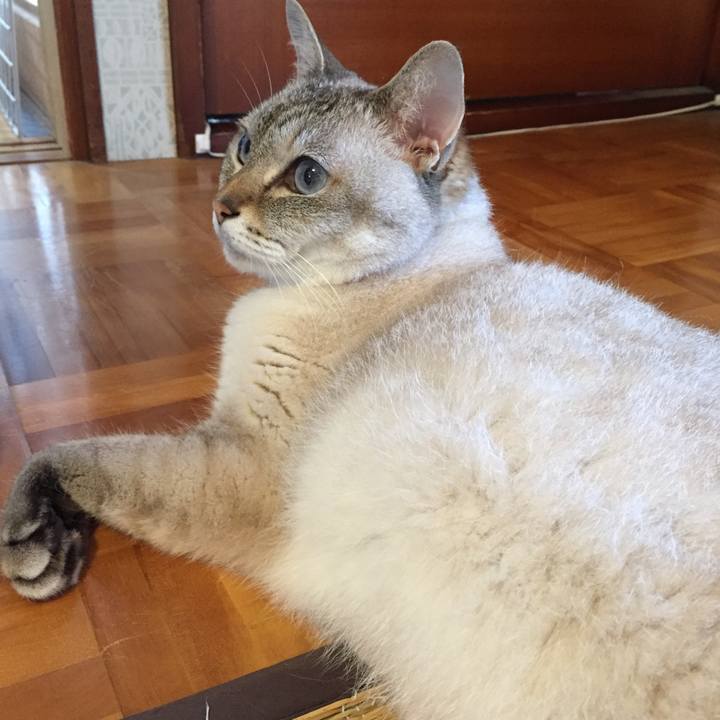 5df91bb7 60ec 4f7f 988d 16eb8f1ed6fd