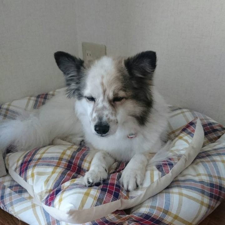 5df9381a dec1 4773 993b e7529e291ae9