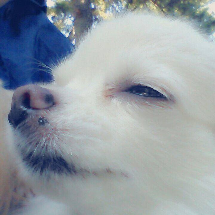 5df94c0c b52a 4e10 9455 cb4a7e2aafe8