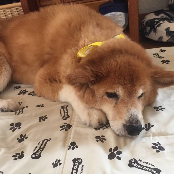 5df952d9 79e9 4aa0 ab68 cdcbe52a085e