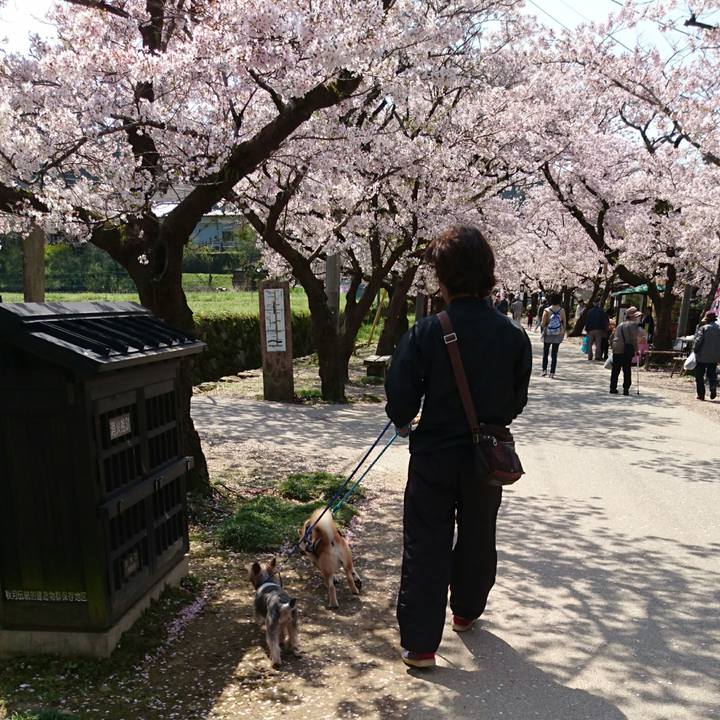 5dfa2a5c badf 42e2 9125 e14076213221