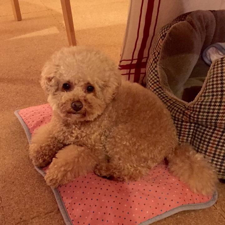 5dfb2549 7b69 4207 b8bb 1b23125ec897