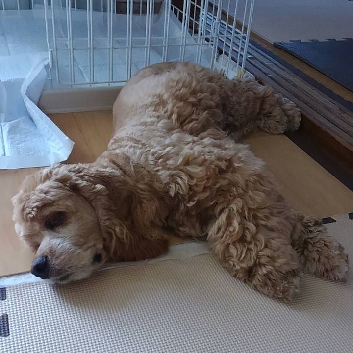 5dfb2d38 e2fb 4835 a960 daf0f43bc482