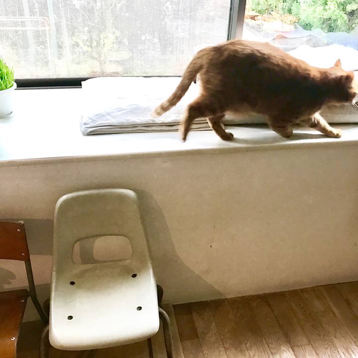 5dfb54a2 179b 43e7 bf5e 9df3fa2b0a3d