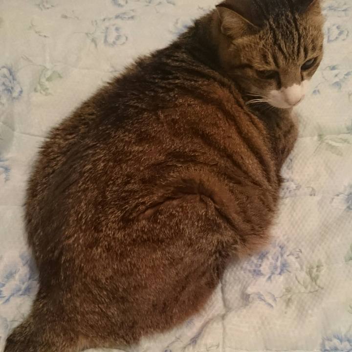 5dfc8434 bbb2 49a4 a622 5db38691d371