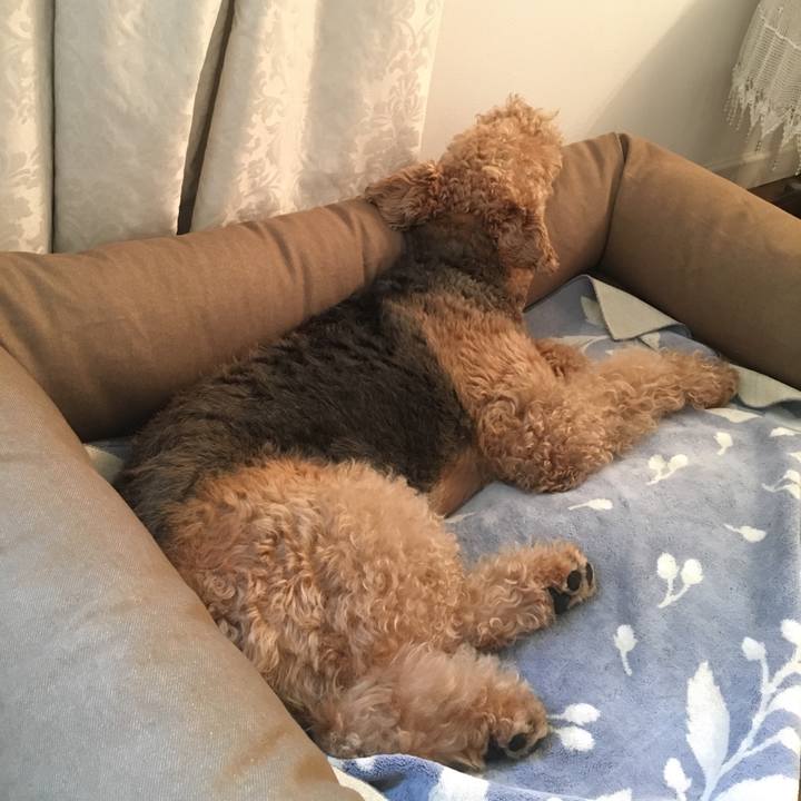 5dfce5e0 2e42 4164 8db5 59714156139f