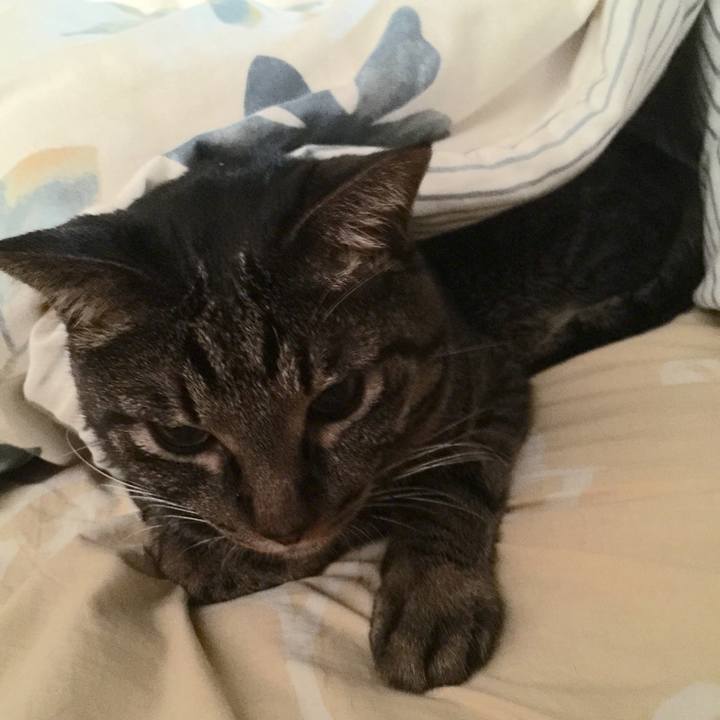 5dfcf120 0d43 4799 a045 c735cb1db5c9