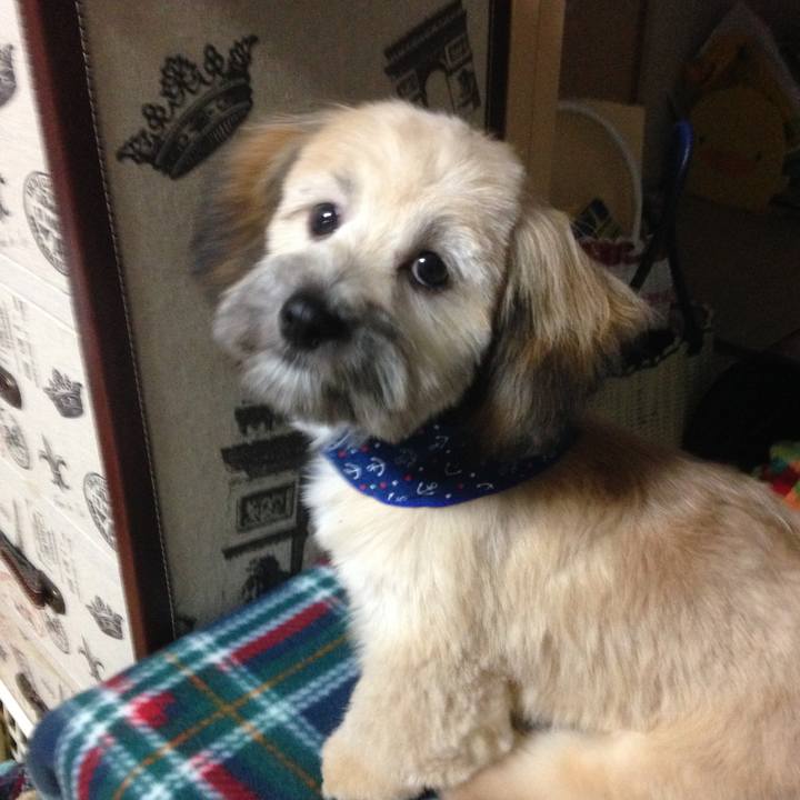 5dfd1747 95f5 4ece 97f2 1dd5004d2235