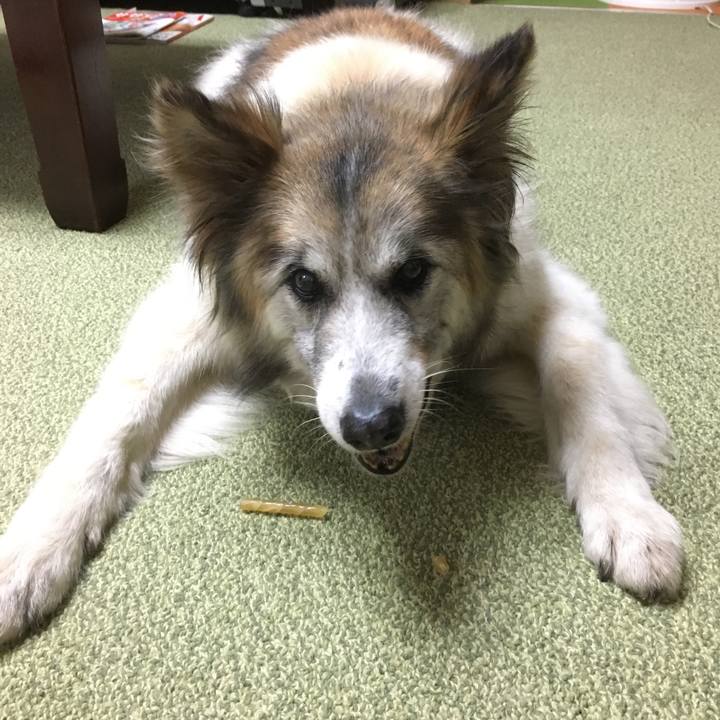 5dfdbb04 9134 4580 b44e 5925c1f7ef20