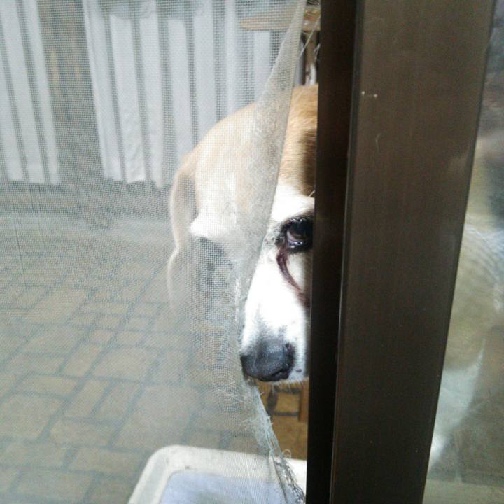 5dfe0ba9 f3dd 4c6d b9d8 5653d7d529fc