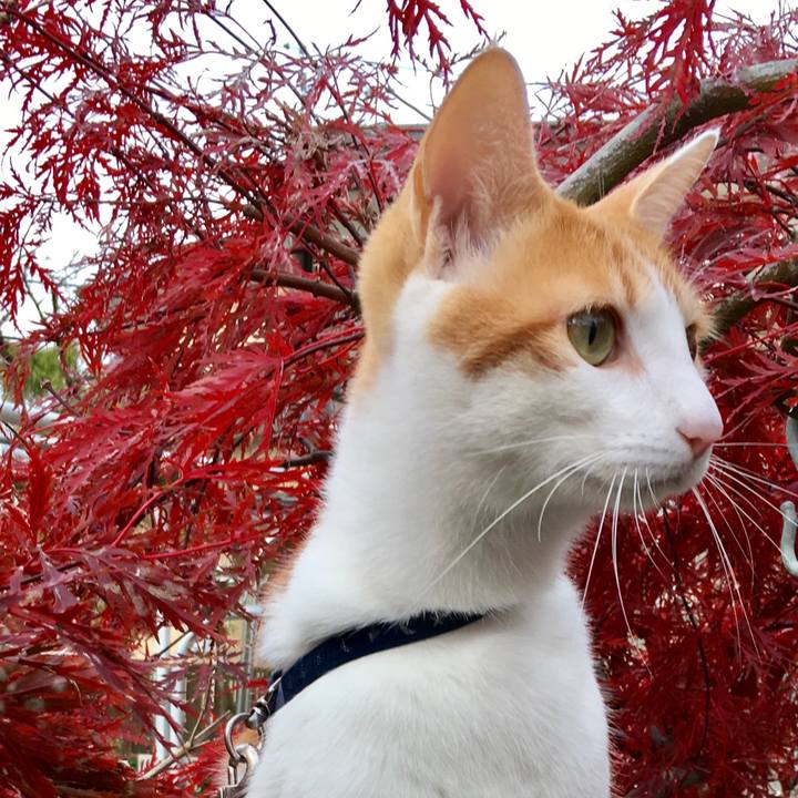 5dfe9f8f 49a6 4a60 96e0 d80488319c4f