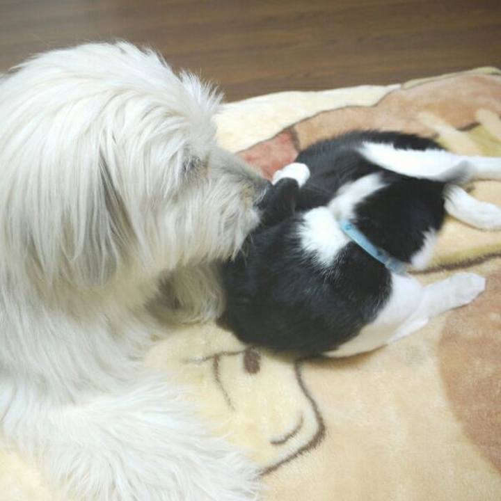 5dff0f86 07ee 4b4c 9ae0 ea5a060d4428