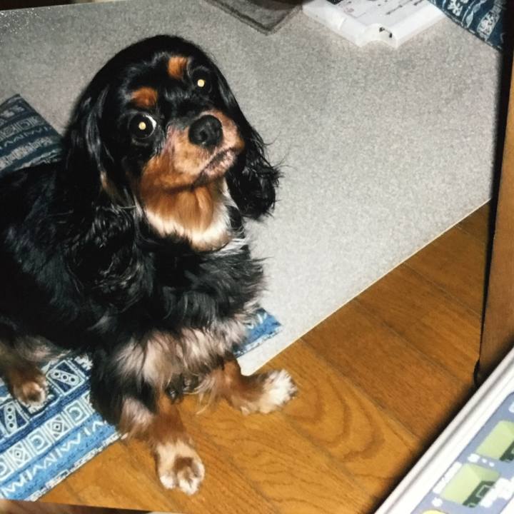 5dffde9b 031c 4d64 b019 31d0a0fabe66