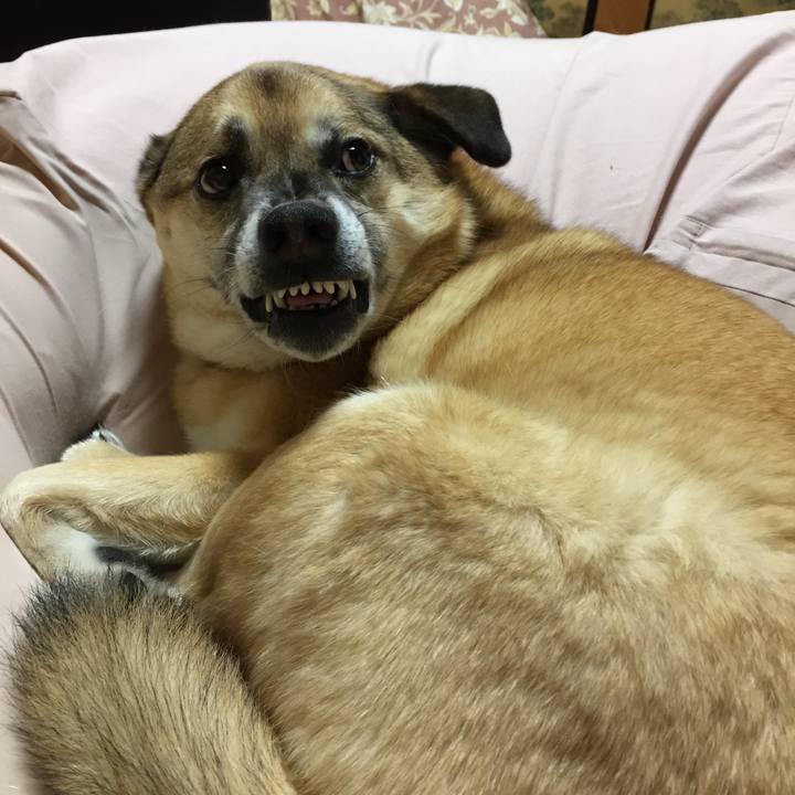 5dffff17 74f6 407a a124 ad6d9aa4baa6