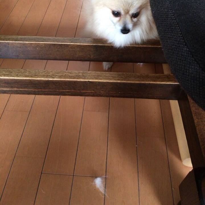 5e00a5cb bb62 4095 9809 36503bbf4aa7