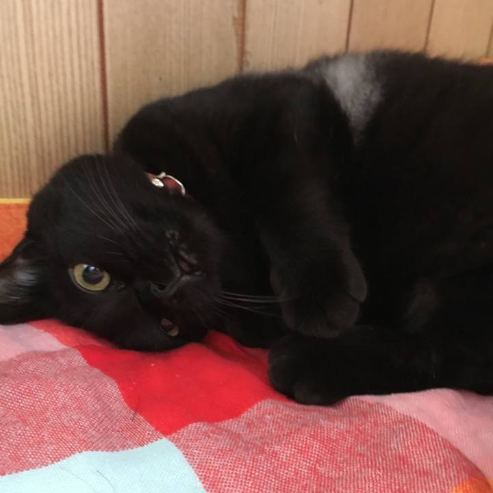 5e012132 5a4c 4953 80bd 80a060fd2773