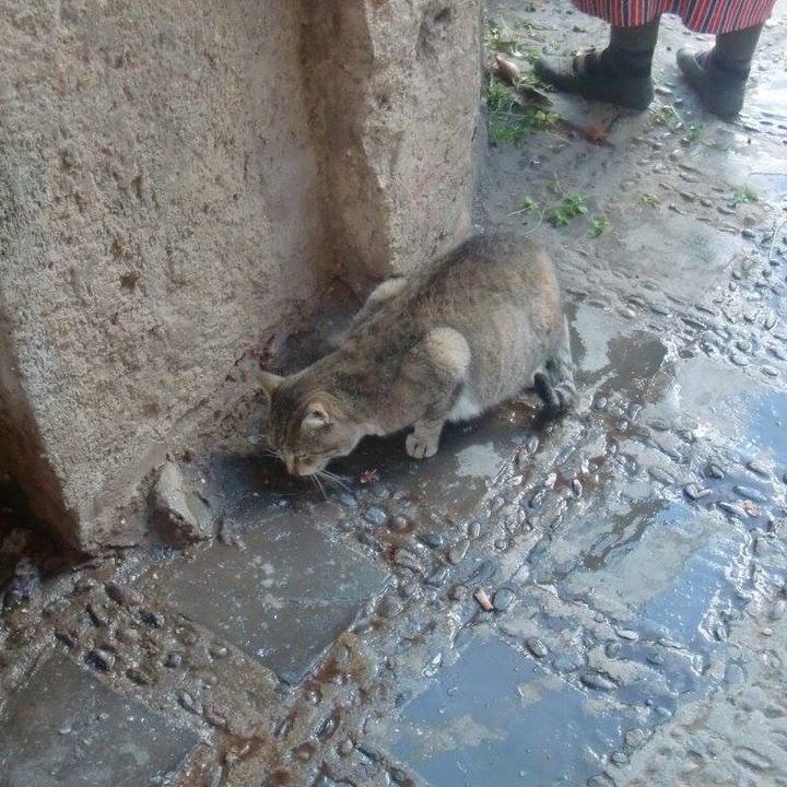 5e0167b6 f9a2 4f59 a3c7 43a8f68a26bb