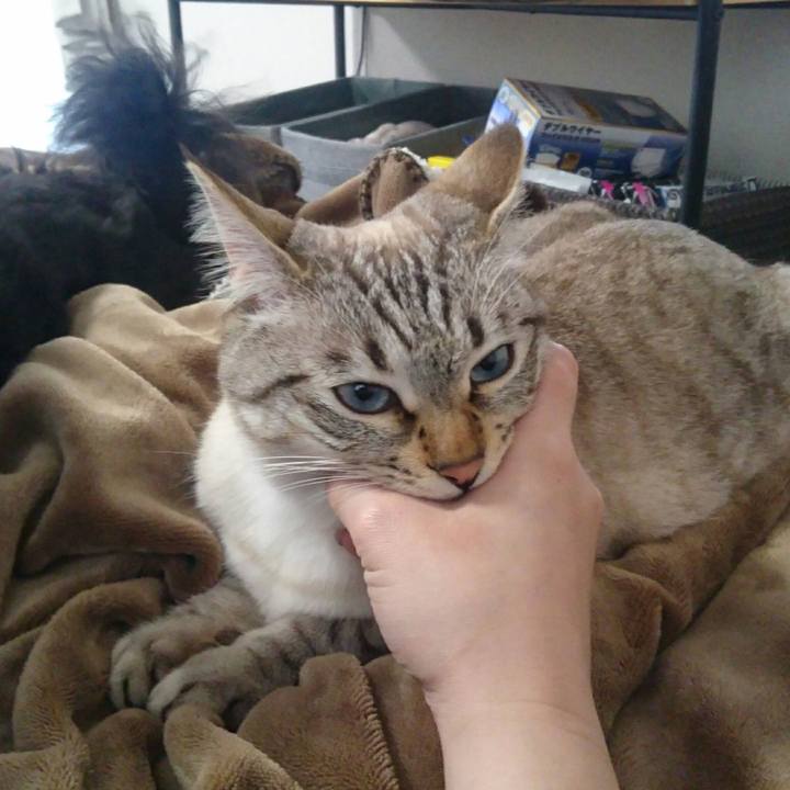 5e0280a4 52ee 41ef b8a3 98bd7836ac39