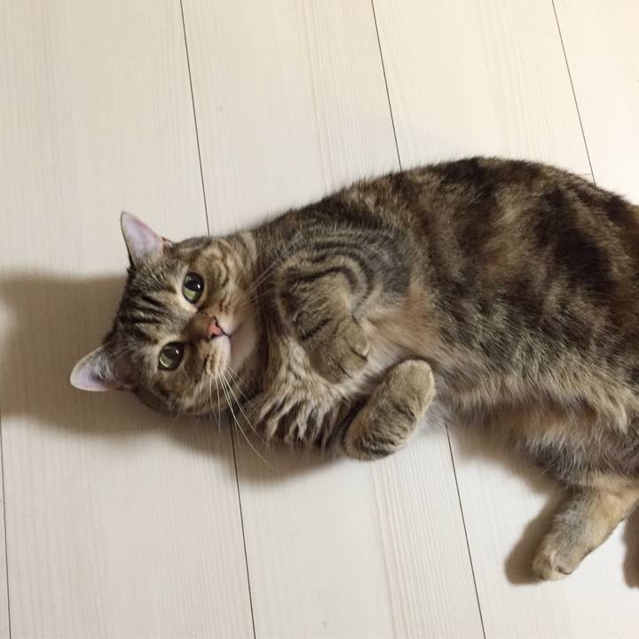 5e02ce41 7469 407e 8fe2 ba97fa146c80