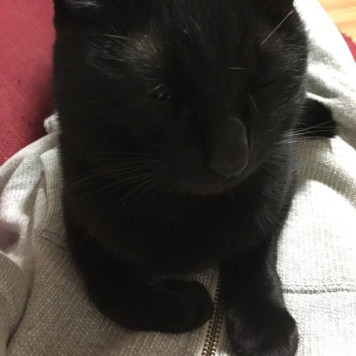 5e038eb7 5aa6 45ee 881e 782298dc3d16