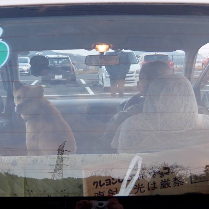 5e03a11a 5a23 4098 9859 e7e0973e01cd