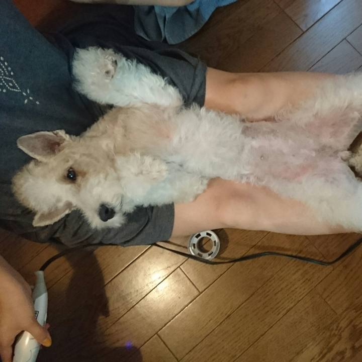 5e03b841 a942 4e31 ac89 7b200850f2cc